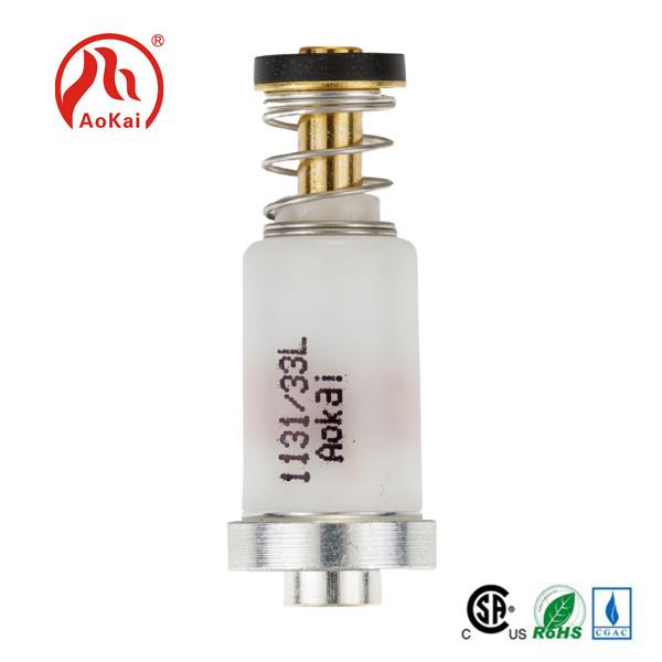 Zdokonalení plamene: Role BBQ solenoidového ventilu v grilovacím mistrovství